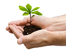 Pergolum, una empresa comprometida con el Medio Ambiente